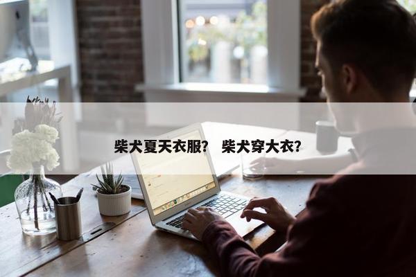 柴犬夏天衣服？ 柴犬穿大衣？