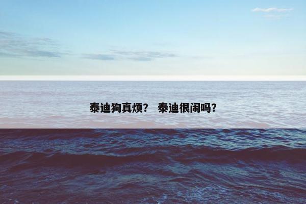 手表