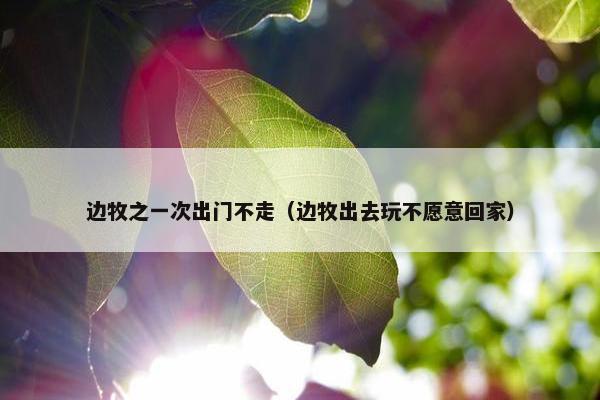 边牧之一次出门不走（边牧出去玩不愿意回家）