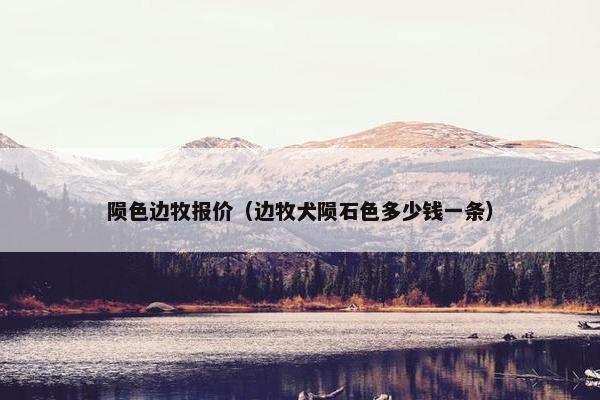 陨色边牧报价（边牧犬陨石色多少钱一条）