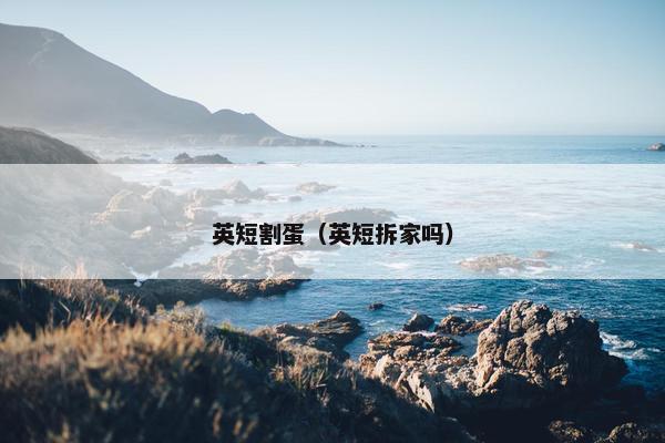 英短割蛋（英短拆家吗）