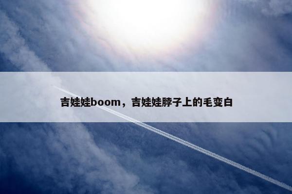 专辑