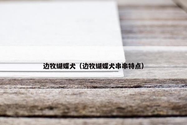 边牧蝴蝶犬（边牧蝴蝶犬串串特点）
