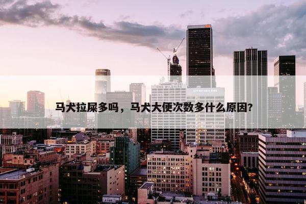 马犬拉屎多吗，马犬大便次数多什么原因?