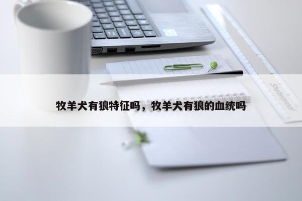 牧羊犬有狼特征吗，牧羊犬有狼的血统吗