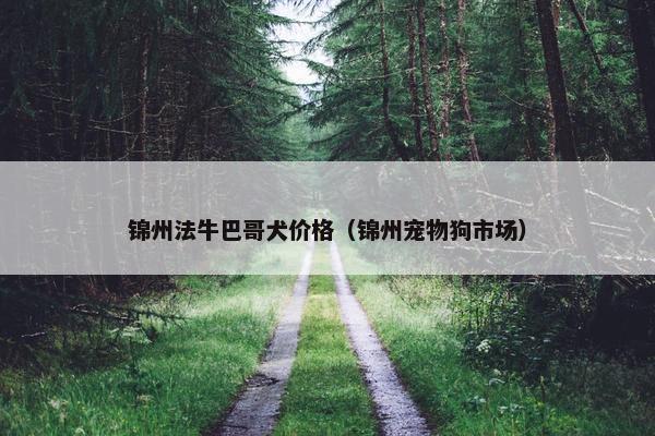 锦州法牛巴哥犬价格（锦州宠物狗市场）