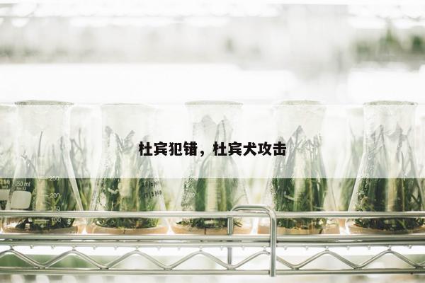 杜宾犯错，杜宾犬攻击