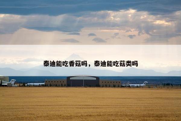 泰迪 第3页