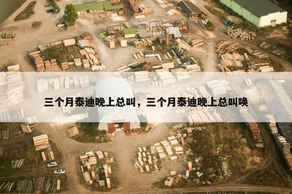 晚上