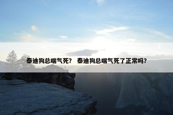 泰迪狗总喘气死？ 泰迪狗总喘气死了正常吗？