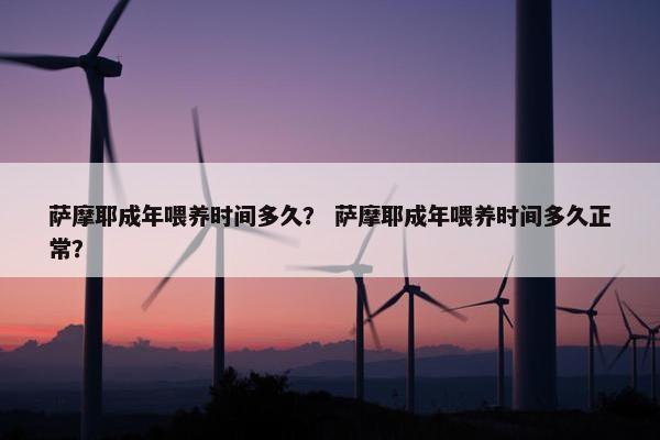 每天