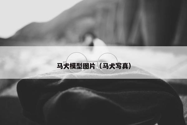 玩具