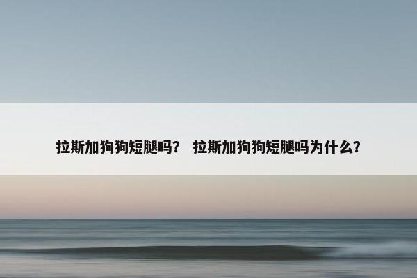 拉斯加狗狗短腿吗？ 拉斯加狗狗短腿吗为什么？
