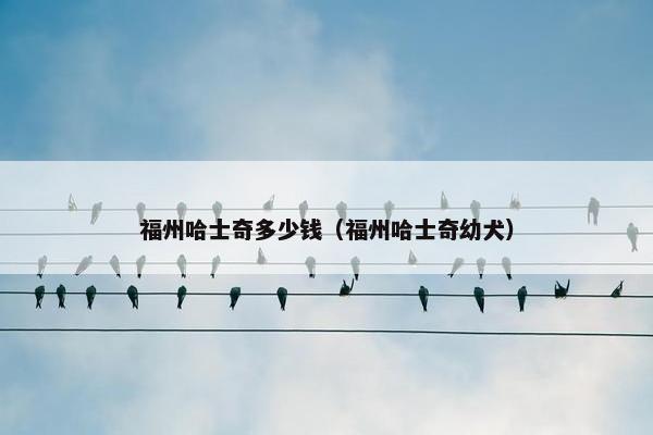 福州哈士奇多少钱（福州哈士奇幼犬）