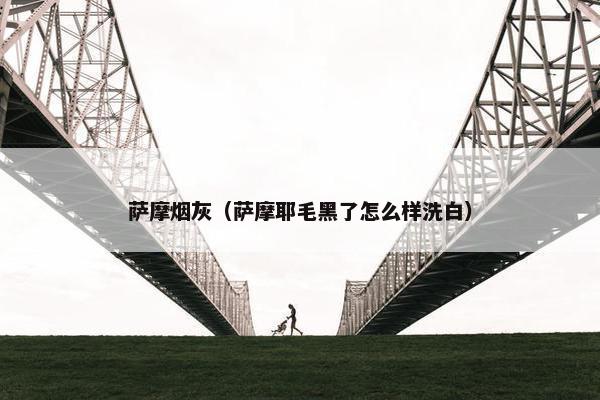 萨摩烟灰（萨摩耶毛黑了怎么样洗白）