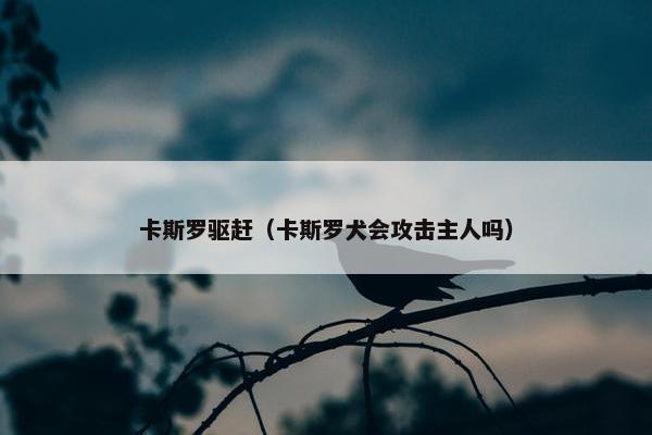 卡斯罗驱赶（卡斯罗犬会攻击主人吗）