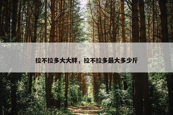 拉不拉多大大胖，拉不拉多最大多少斤