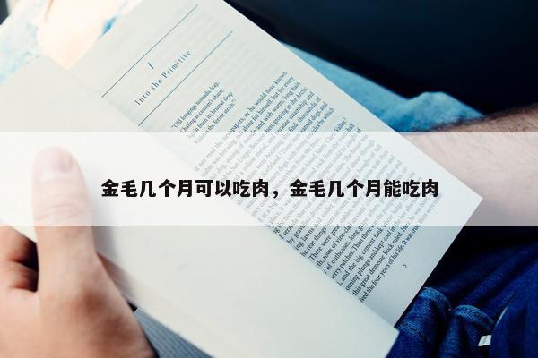 金毛几个月可以吃肉，金毛几个月能吃肉