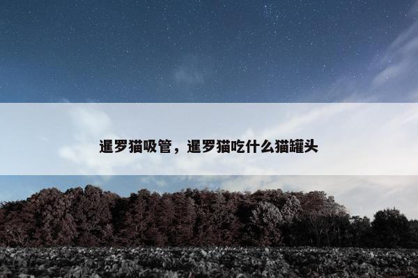 暹罗猫吸管，暹罗猫吃什么猫罐头