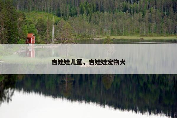 吉娃娃儿童，吉娃娃宠物犬