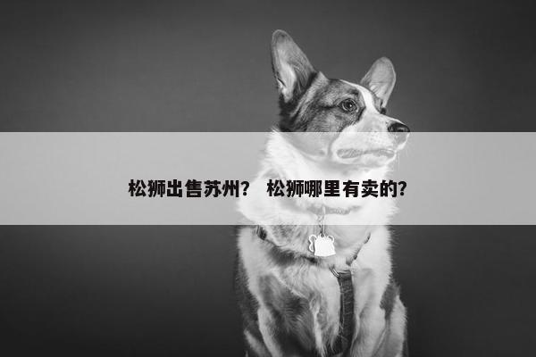 松狮出售苏州？ 松狮哪里有卖的？