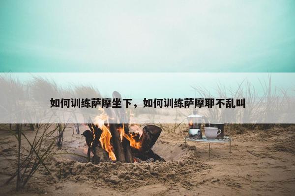 如何训练萨摩坐下，如何训练萨摩耶不乱叫