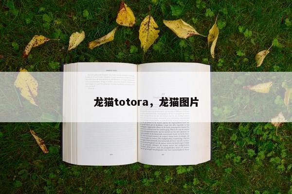 龙猫totora，龙猫图片