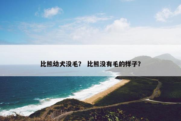 比熊幼犬没毛？ 比熊没有毛的样子？