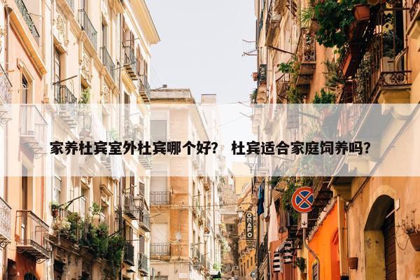 家养杜宾室外杜宾哪个好？ 杜宾适合家庭饲养吗？