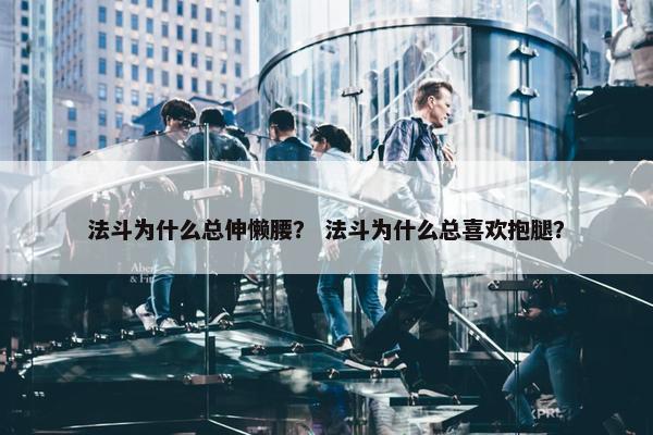 法斗为什么总伸懒腰？ 法斗为什么总喜欢抱腿？