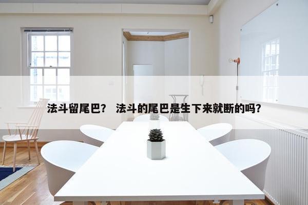 法斗留尾巴？ 法斗的尾巴是生下来就断的吗？