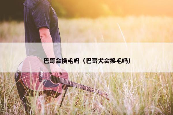 巴哥会换毛吗（巴哥犬会换毛吗）
