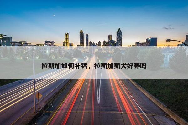 拉斯加如何补钙，拉斯加斯犬好养吗