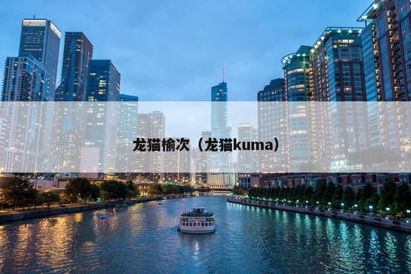 龙猫榆次（龙猫kuma）