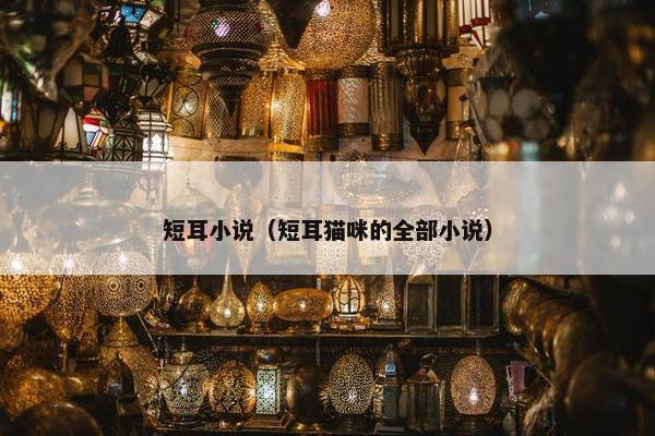 2025年6月 第3页