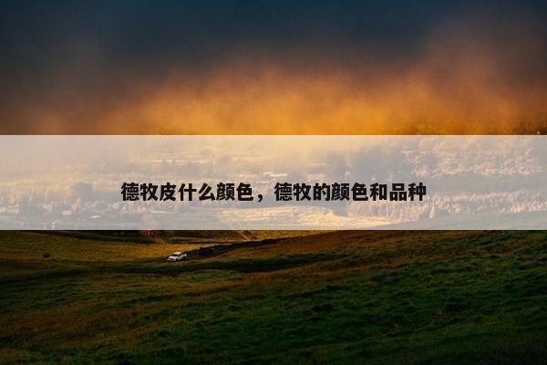 德牧皮什么颜色，德牧的颜色和品种