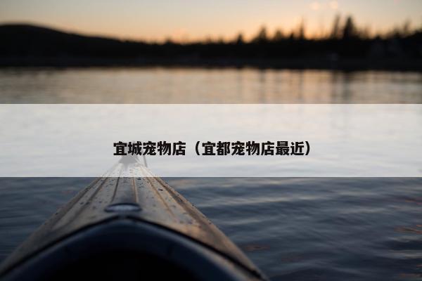 市场