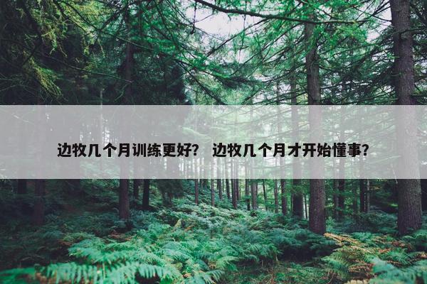 时期