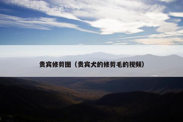 贵宾修剪图（贵宾犬的修剪毛的视频）