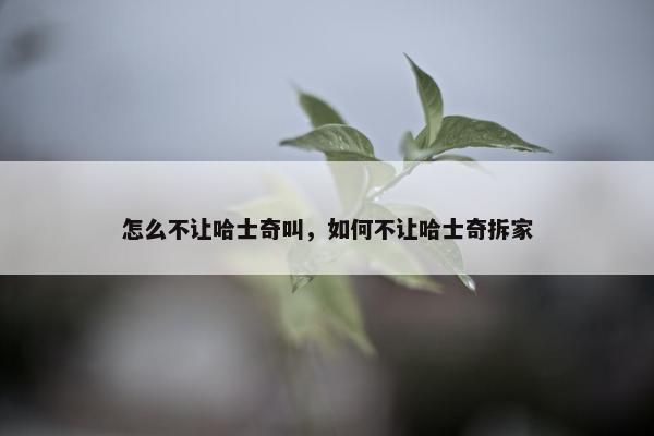 运动量