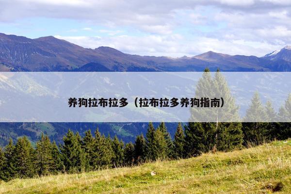 养狗拉布拉多（拉布拉多养狗指南）