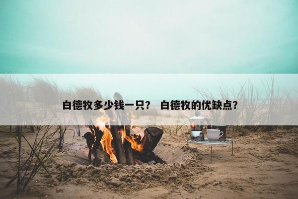 白德牧多少钱一只？ 白德牧的优缺点？