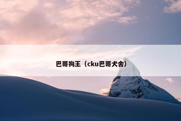 巴哥狗王（cku巴哥犬舍）