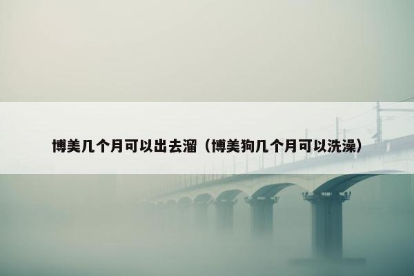 博美几个月可以出去溜（博美狗几个月可以洗澡）