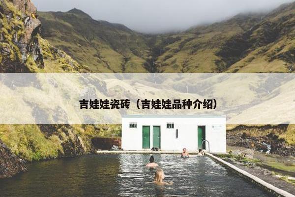 吉娃娃瓷砖（吉娃娃品种介绍）