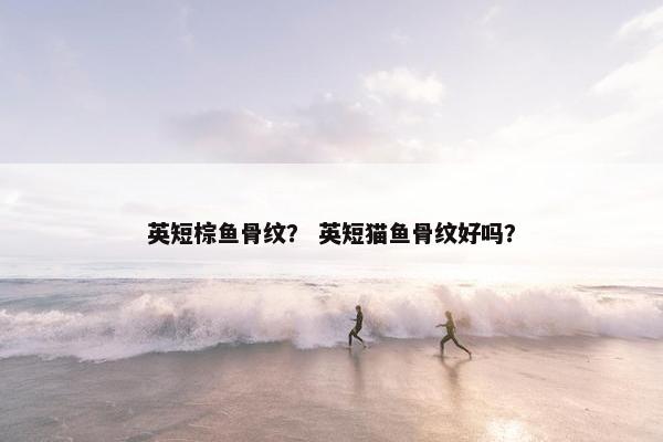 英短棕鱼骨纹？ 英短猫鱼骨纹好吗？