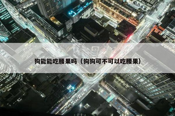 狗能能吃腰果吗（狗狗可不可以吃腰果）