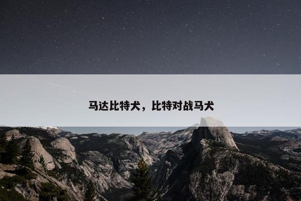 马达比特犬，比特对战马犬