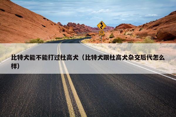 比特犬能不能打过杜高犬（比特犬跟杜高犬杂交后代怎么样）