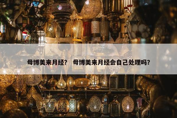 母博美来月经？ 母博美来月经会自己处理吗？